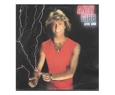 Vinilinė plokštelė Andy Gibb ‎– After Dark