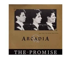 Vinilinė plokštelė Arcadia ‎– The Promise (Extended Remix)