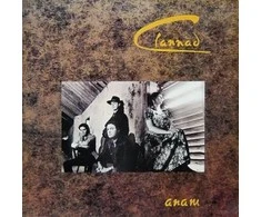 Vinilinė plokštelė Clannad – Anam
