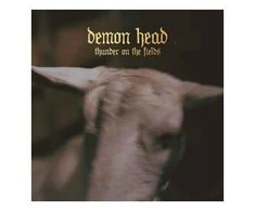 Vinilinė plokštelė Demon Head ‎– Thunder On The Fields