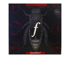 Vinilinė plokštelė Familiar!- Invisible Limits