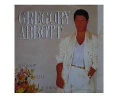 Vinilinė plokštelė Gregory Abbott ‎– Shake You Down (Extended Version)