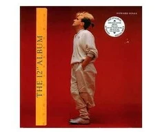 Vinilinė plokštelė Howard Jones - The 12 Album"