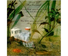 Vinilinė plokštelė Locomotiv GT – Locomotiv GT