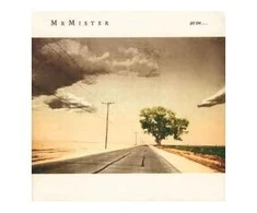 Vinilinė plokštelė Mr. Mister ‎– Go On...