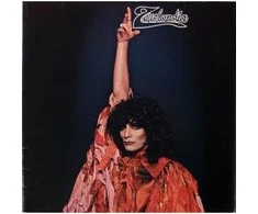 Vinilinė plokštelė Renato Zero – Zerolandia