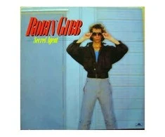 Vinilinė plokštelė Robin Gibb - Secret Agent