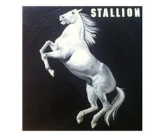 Vinilinė plokštelė Stallion ‎– Stallion
