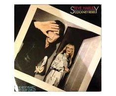 Vinilinė plokštelė Steve Harley - Cockney Rebel - The Best Years Of Our Lives