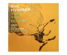 Vinilinė plokštelė The Hybirds ‎– Take You Down