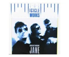 Vinilinė plokštelė The Icicle Works ‎– Understanding Jane