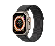 DUX DUCIS apyrankė YJ nylon for Apple Watch 42 / 44 / 45 / 49 mm juodos spalvos pilkos spalvos