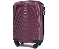 Kelioninis Didelis bordo lagaminas Wings 304L