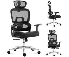 Ergonomic chair Expert 4.3 Juodas