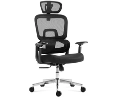 Ergonomic chair Expert 4.3 Juodas