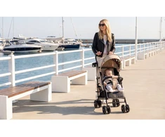 Meester Group Sp. z o.o. Stroller Davos 35 rusvai gelsvas