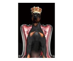 Signal Meble Paveikslas DOG IN CROWN, 80x120 cm