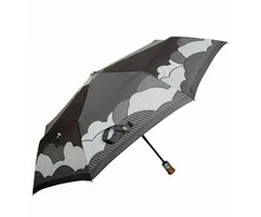 Parasol Moteriškas skėtis automatinis CARBON STEEL 10