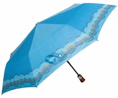 Parasol Moteriškas skėtis automatinis CARBON STEEL 2