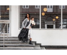 Thule Shine vežimėlis, pilkas/ aliuminio spalvos (Aliuminio/pilka melange)