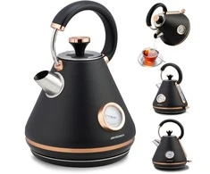 Berdsen Elektrinis virdulys su termometru 1,7 l BD-701 - juodas