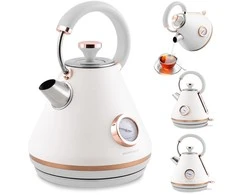 Berdsen Elektrinis virdulys su termometru 1,7 l BD-701 - baltas