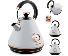 Berdsen Elektrinis virdulys su termometru 1,7 l BD-701 - pilkas