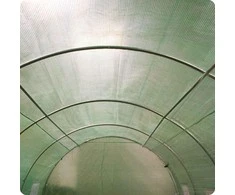 Šiltnamis 2,5x4xH2m (10m2) Plonos