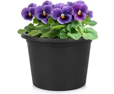 Vilde Plastikinis gėlių vazonas Juodas 20 cm - Sodo vazonas