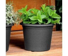 Vilde Juodi plastikiniai gėlių vazonai 3 vnt. 14,5 cm