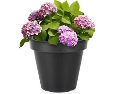 Vilde Gėlinė Plastikinė 29 cm Juoda Laistymo Indas