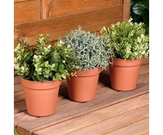 Ibergarden ProGarden Gėlių Vazonai 13 cm Plastikiniai 3vnt Orui Ir Lauko Naudojimui