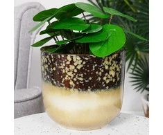 Vilde Porcelianinis gėlių vazonas 17,5 cm
