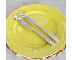 Excellent Houseware Stalo peiliai 2 vnt. plieniniai