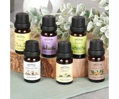 Drėkintuvas Vilde Ätherisches Öl-Set ätherische Öle Naturduftöl 10 ml 6 Stk.