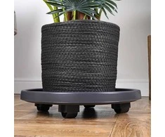 Nature Augalų padėklai su ratukais 35 cm