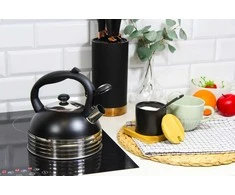 Virdulys plieno su gwizdkiem na gaz indukcję 2.5L juoda matinė BRUNBESTE BB-2475