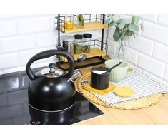 Plieninis virdulys su švilpuku, tradicinis, dujinė indukcinė viryklė, 2,5 l, matinės juodos spalvos, BRUNBESTE BB-2362