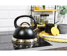 Plieninis virdulys su švilpuku, tradicinis, indukcinis, dujinis, 2,5 l, juodas, BRUNBESTE BB-2273