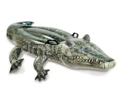 Intex Ride Ant plaukimo lentos Realistinis Gator Amžius 3+, 170 x 86 cm