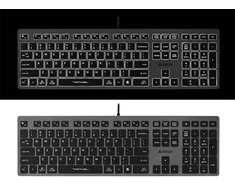 A4Tech FSTYLER FX60H (Baltas su pašvietimu) klaviatūra USB QWERTY Juodas, Pilkas
