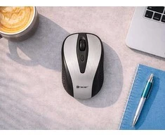 TRACER Joy II RF Nano USB Sidabrinis Pelė Wireless