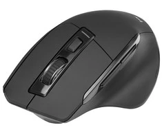 TRACER Cozy RF 2.4 GHz pelė