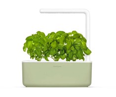 Click Grow „Click and Grow“ – išmaniojo sodo 3 pradinis rinkinys (spalva: šalavijų) (SGS13UNI)