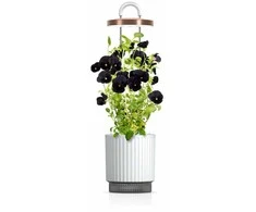 Click And Grow „Click &amp; Grow HydroVase“ – auginkite šviežius augalus patalpose ištisus metus su LED apšvietimu ir savaiminio laistymo sistema – balta