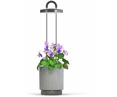 Click And Grow Click &amp; Grow HydroVase - Pilkas