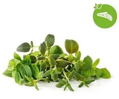 „Click &amp; Grow“ augalų ankštys, itališkų žolelių mišinys, 9 vnt.
