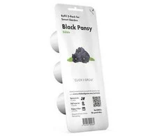 Click &amp; Grow Smart Garden pildymas Juodas pansy 3vnt