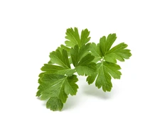 Click And Grow Click &amp; Grow Smart Garden refill Plain Parsley 3pcs | Sourcing