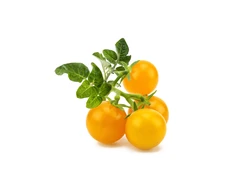 Click and Grow 3 vnt. papildymas - geltonieji pomidorai